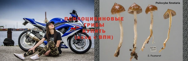 марихуана Волоколамск