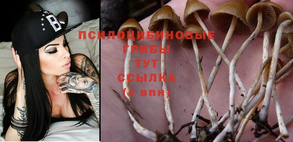 прущий лед Володарск