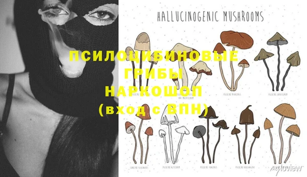 прущий лед Володарск